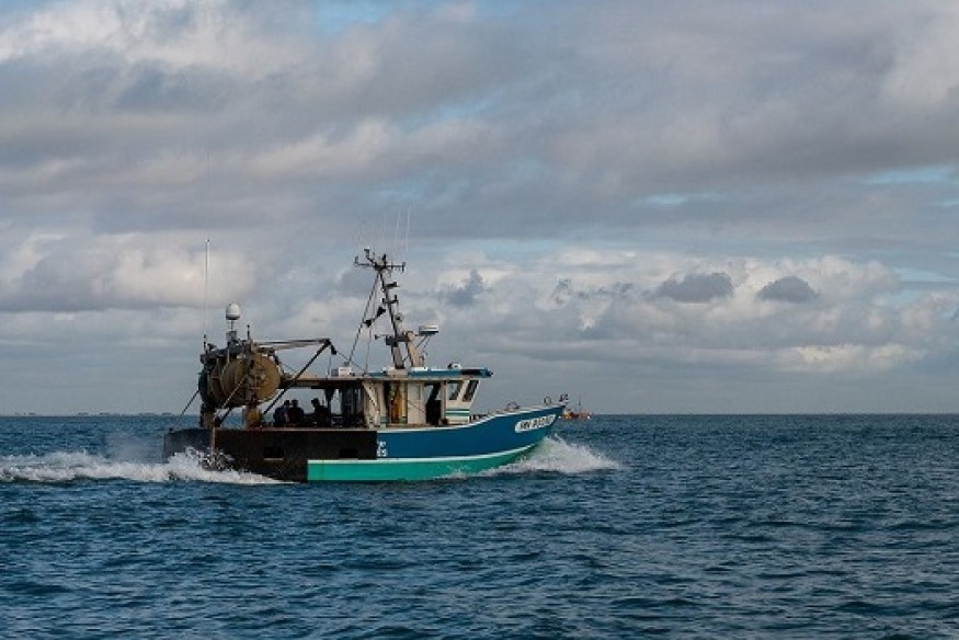 Interdiction de pêche : "Il y a aussi des bénéfices pour les pêcheurs"